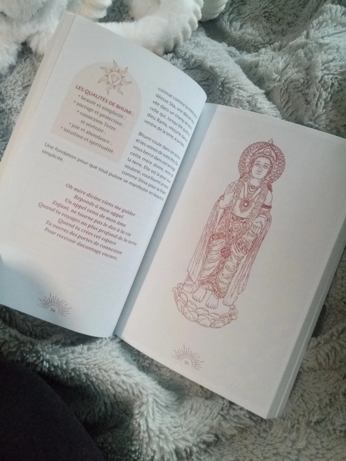 Yogaboek en rituelen van de 9 godinnen – photo 12